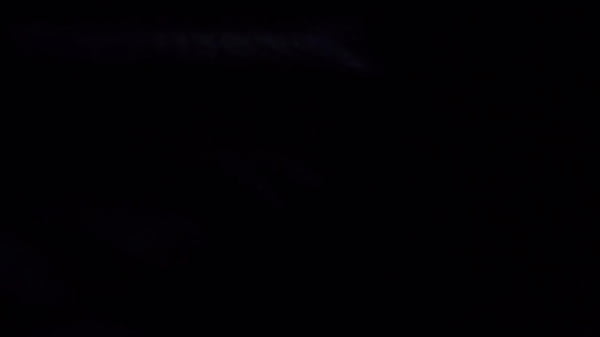 Lyndsey Johnson is back with a new toy